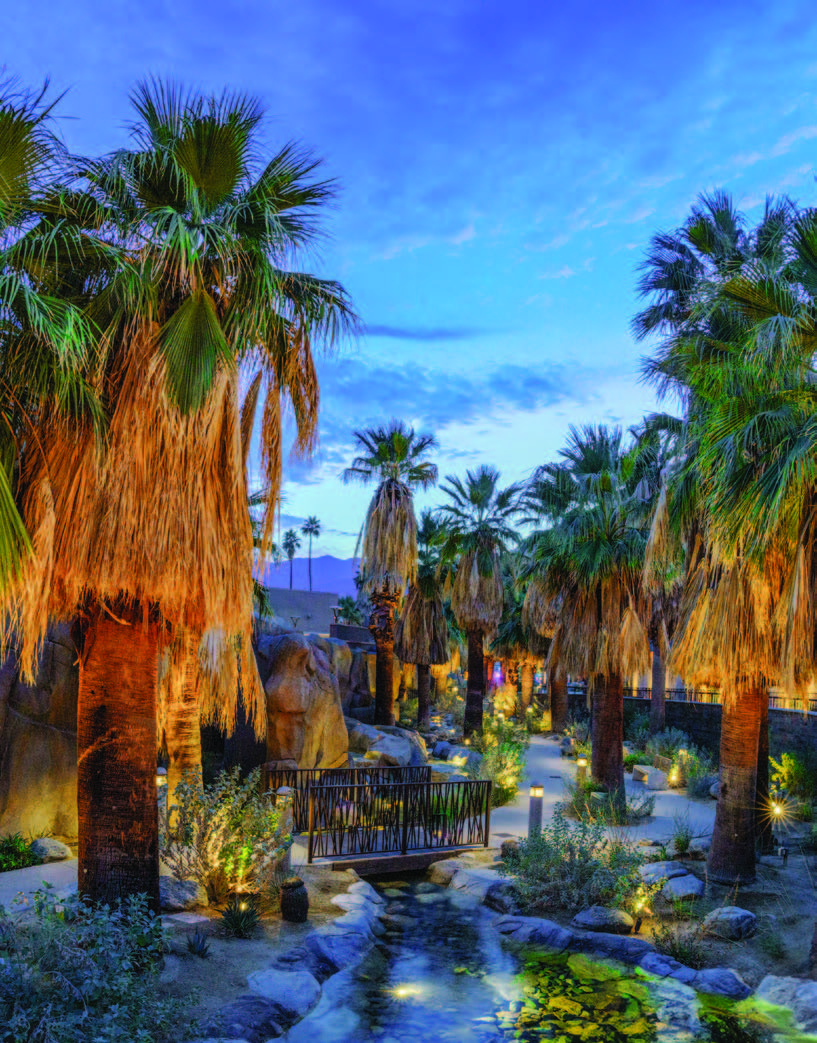 Oasis Trail at Night