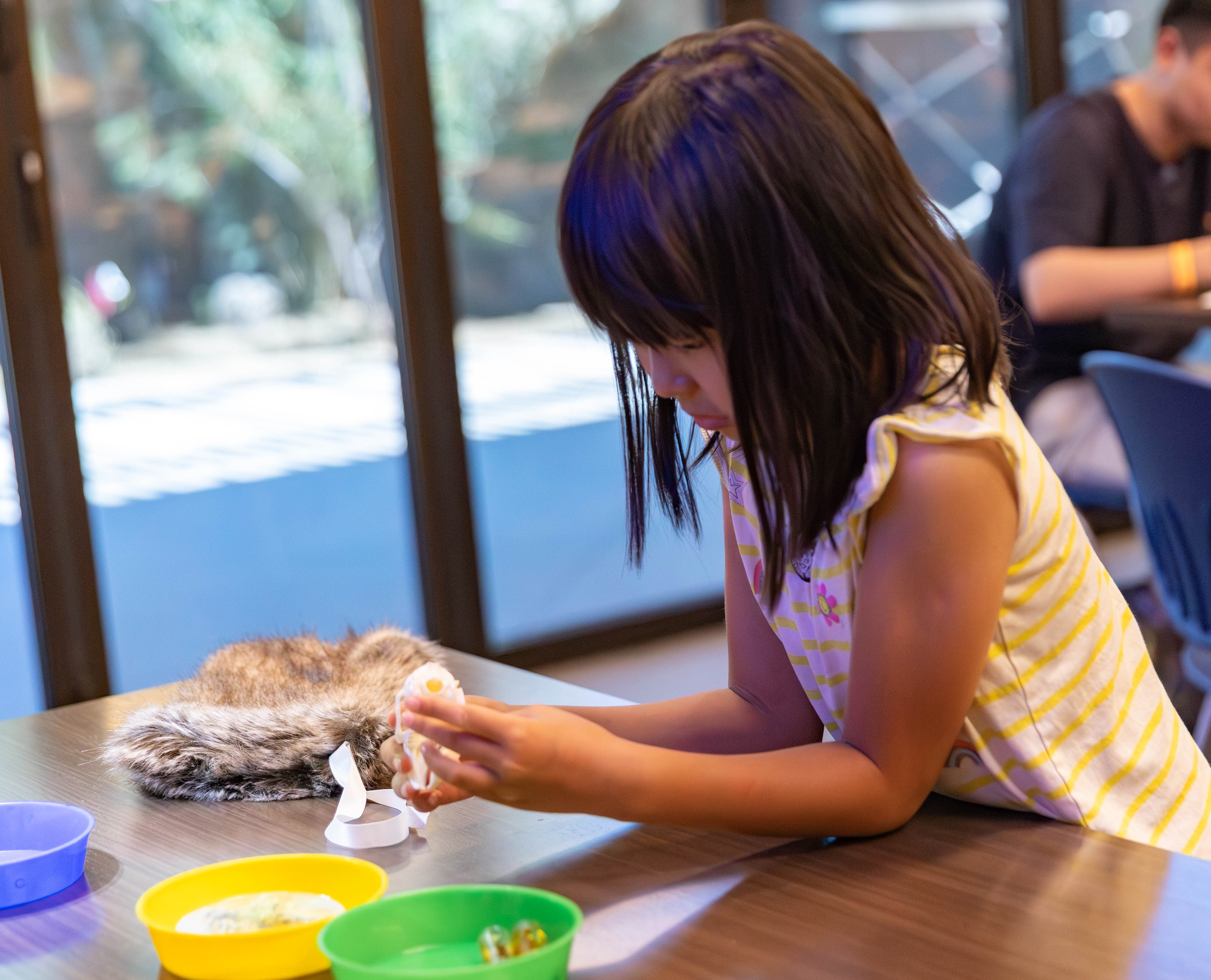 School Field Trip Image